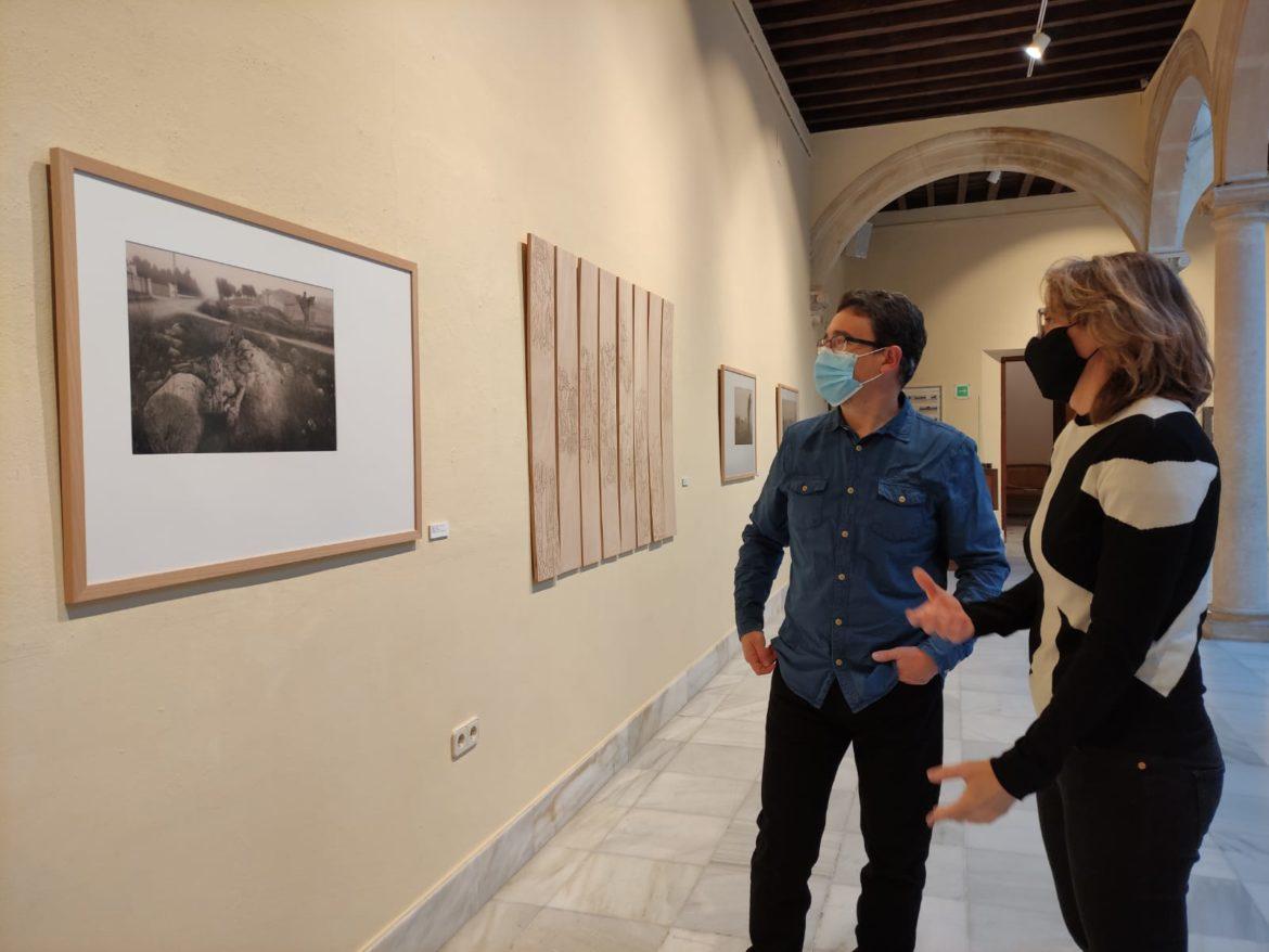 El Centro Cultural La Asunción se abre a la naturaleza gracias al 'Arbolario_Olmo' de Teresa Tomás Villarías