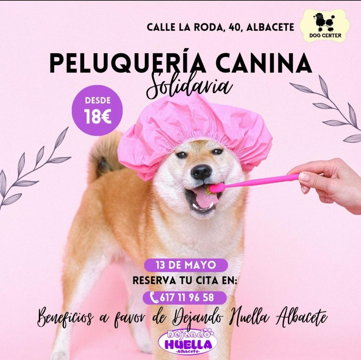 Vuelve la peluquería canina solidaria en Dejando Huella Albacete