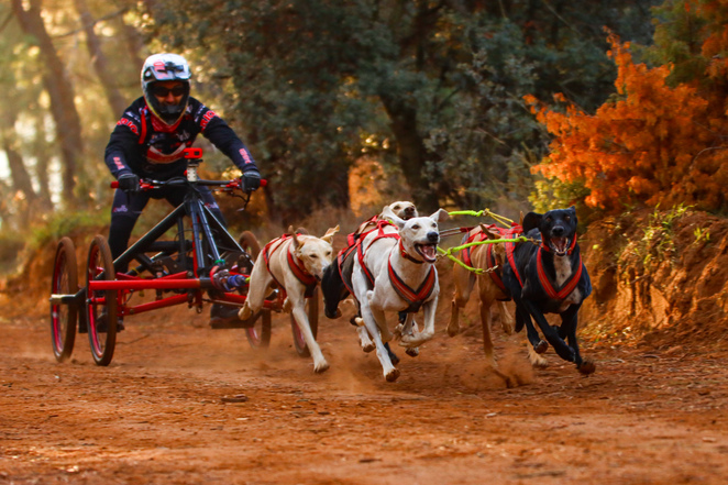 El musher Tomás Ruiz, sexto en el Mundial de tierra en categoría DR6