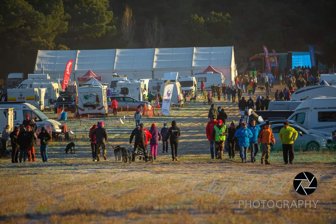 El musher Tomás Ruiz, sexto en el Mundial de tierra en categoría DR6