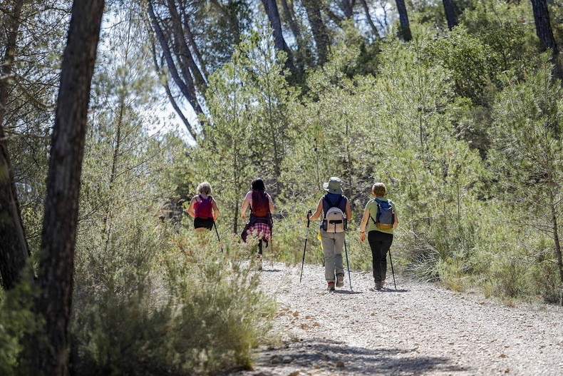 <strong>Soleadas las dos nuevas Rutas de Senderismo de la Diputación, en Alborea y Minaya</strong>