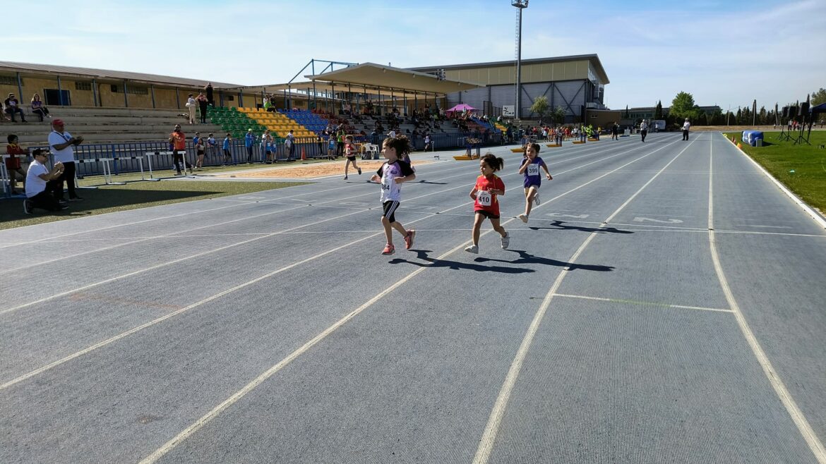 <strong>Nueva jornada del calendario de Deporte Escolar en nuestra provincia</strong>