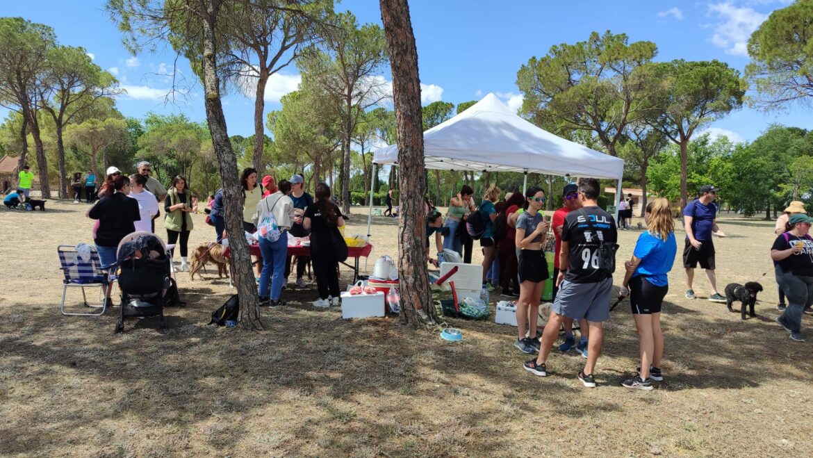 Más de 120 personas participan en el II Entrenamiento Solidario de Dejando Huella Albacete.