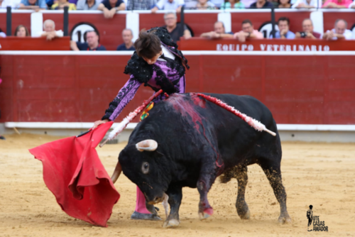 <strong>Roca Rey: “Albacete se podría decir que es una feria de primera por muchas cosas, pero, también, por la promoción que se hace de la Fiesta y fomentar la afición entre lo más jóvenes”</strong>