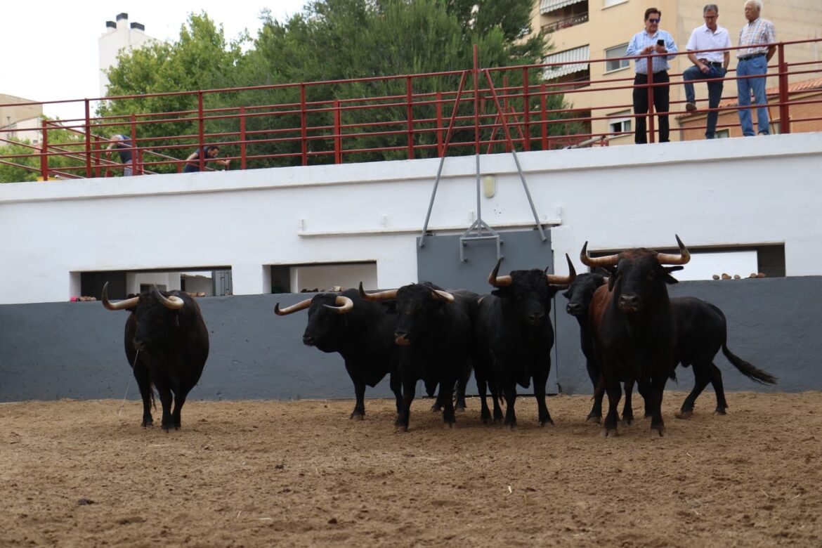 Feria taurina | Sorteo y vídeo de la primera de Feria