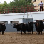 Feria taurina | Sorteo y vídeo de la primera de Feria