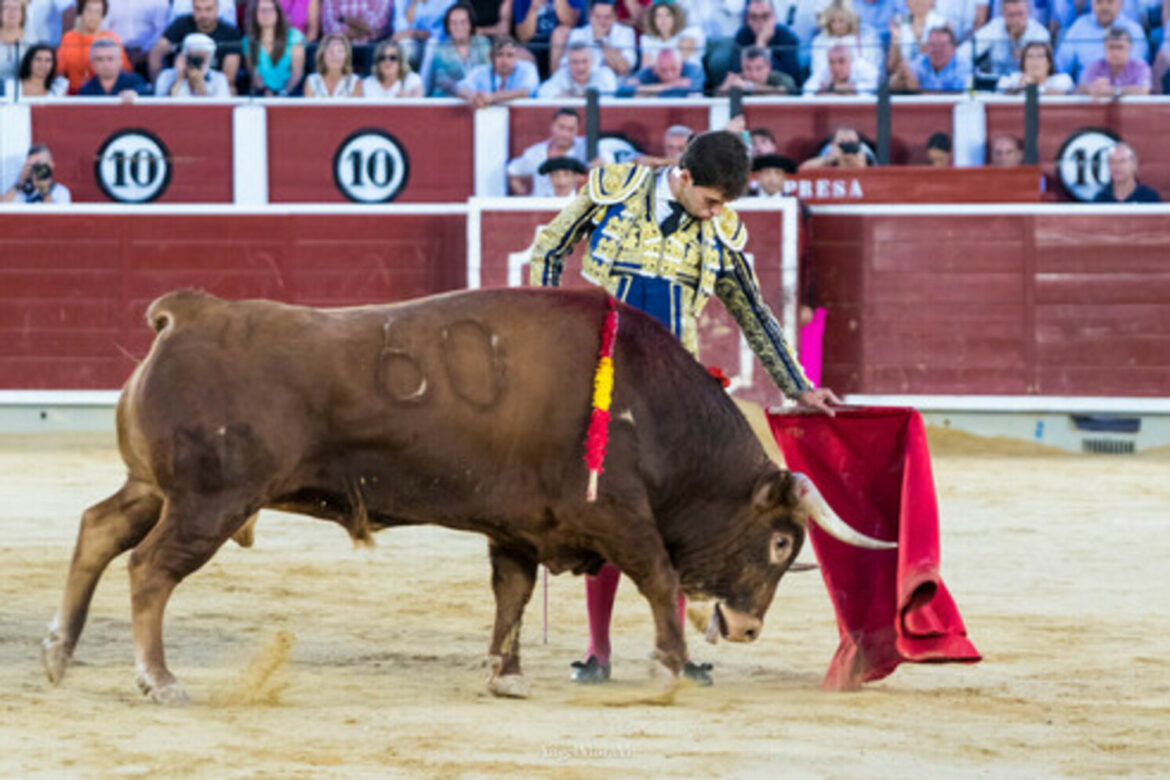 <strong>Samuel Navalón toma la alternativa en Albacete: “Es el día y el cartel soñado”</strong>