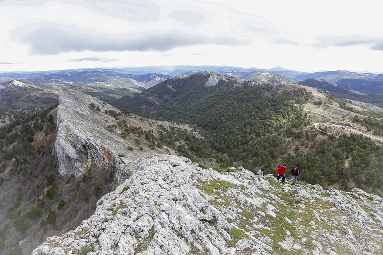 <strong>Estreno de la 1ª Travesía de la Almenara y Los Gallineros, de la mano de la Diputación</strong>