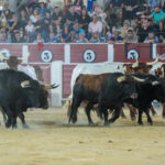 <strong>Gran ambiente en la desencajonada de Albacete</strong>