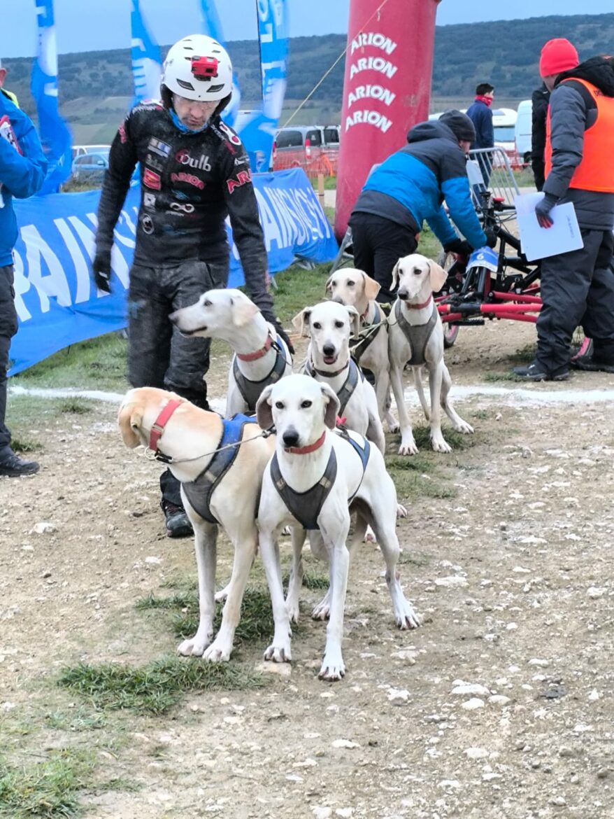 Tomás Ruiz, campeón de España de mushing sprint