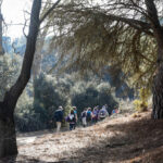 <strong>Paseo primaveral por Villalgordo del Júcar, con las Rutas de Senderismo de la Diputación</strong>