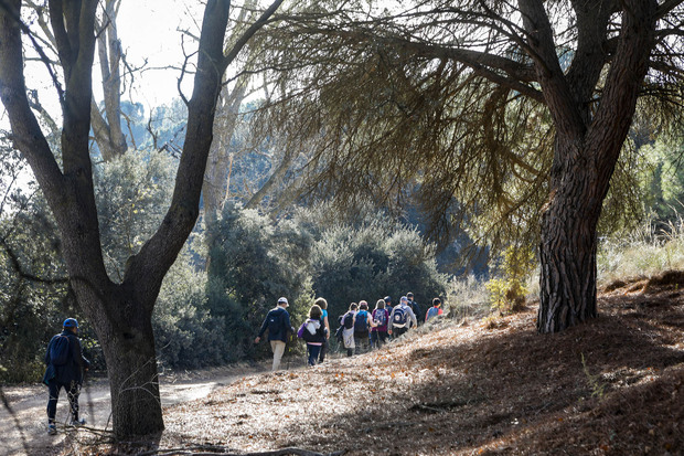 <strong>Paseo primaveral por Villalgordo del Júcar, con las Rutas de Senderismo de la Diputación</strong>