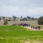Previa 21ª rutas senderistas de la Diputación Provincial de Albacete 2025 -XII edición en Barrax.