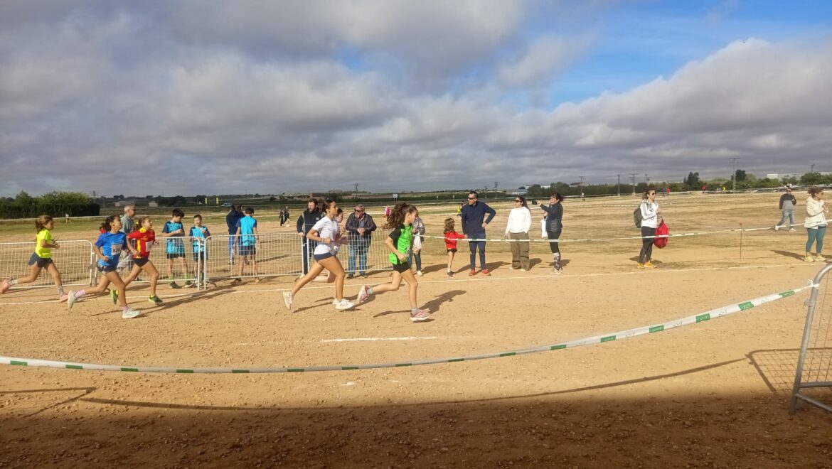 <strong>Tarazona de La Mancha acoge el II Cross Provincial en Edad Escolar</strong> <strong>Tarazona de La Mancha acoge el II Cross Provincial en Edad Escolar</strong>