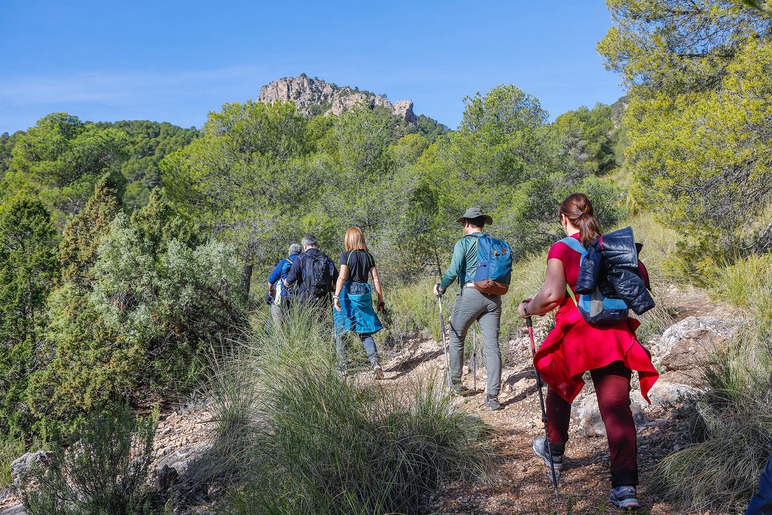 <strong>Casas de Ves y Socovos, dos nuevos trazados, este fin de semana con las Rutas de Senderismo de la Diputación Provincial</strong> <strong>Casas de Ves y Socovos, dos nuevos trazados, este fin de semana con las Rutas de Senderismo de la Diputación Provincial</strong>