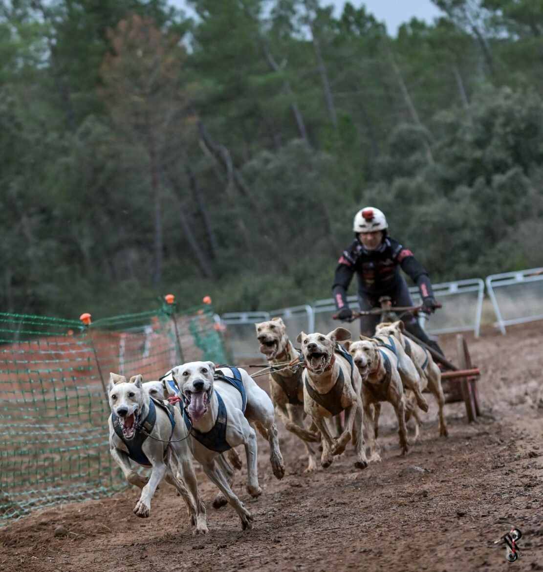 El musher Tomás Ruiz sigue coleccionando títulos