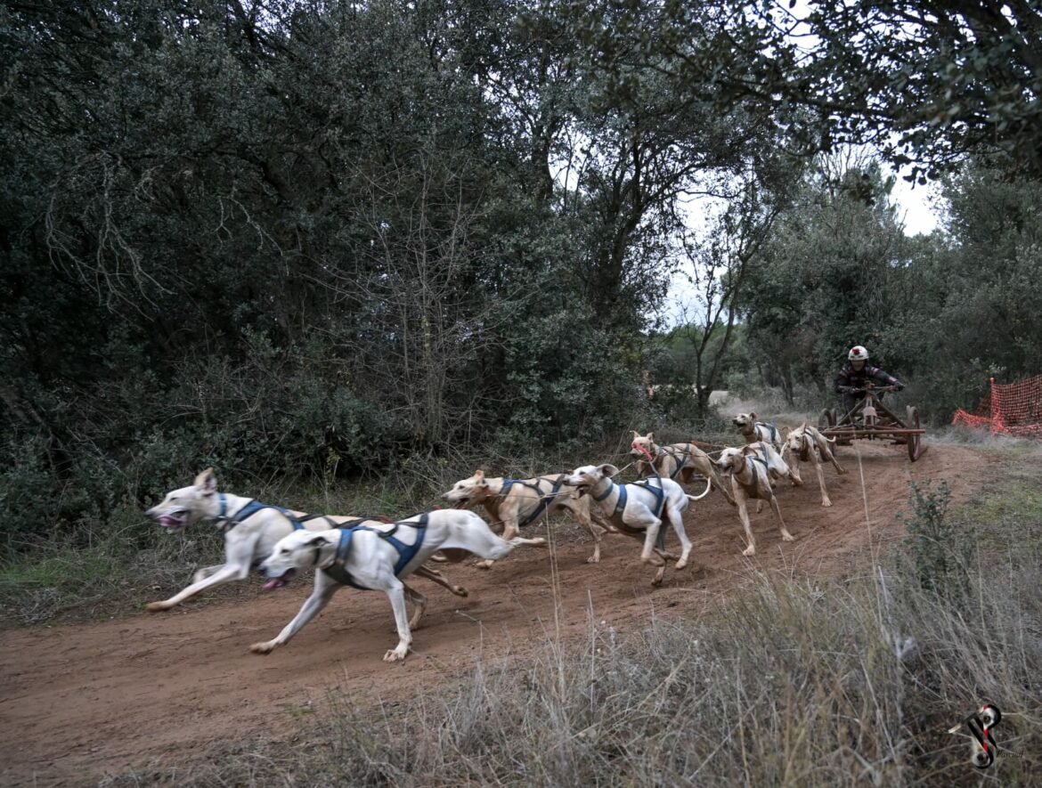 El musher Tomás Ruiz sigue coleccionando títulos