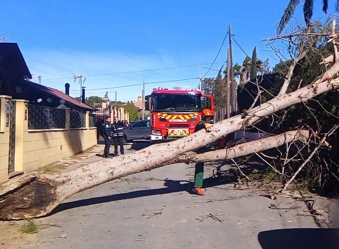 Los bomberos de la Diputación de Albacete realizan más de 30 intervenciones por la borrasca Kristin Los bomberos de la Diputación de Albacete realizan más de 30 intervenciones por la borrasca Kristin