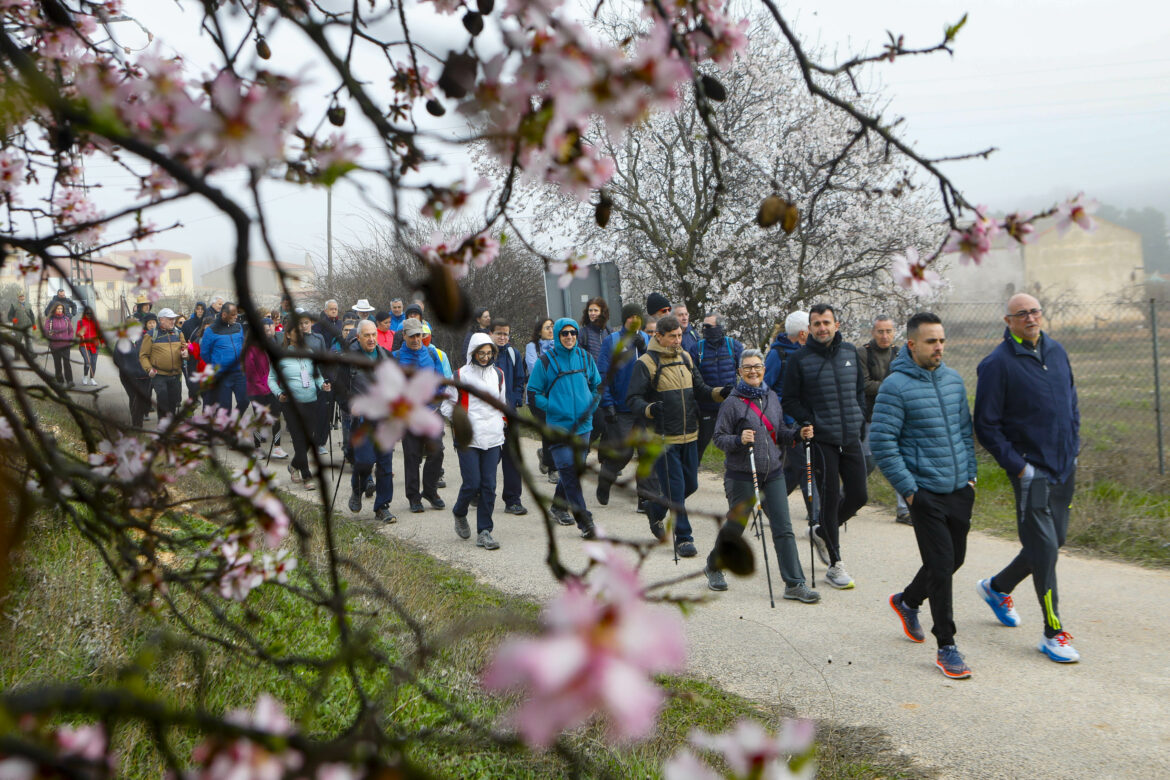 Hoya Gonzalo y Madrigueras acogieron dos nuevas Rutas de Senderismo de la Diputación