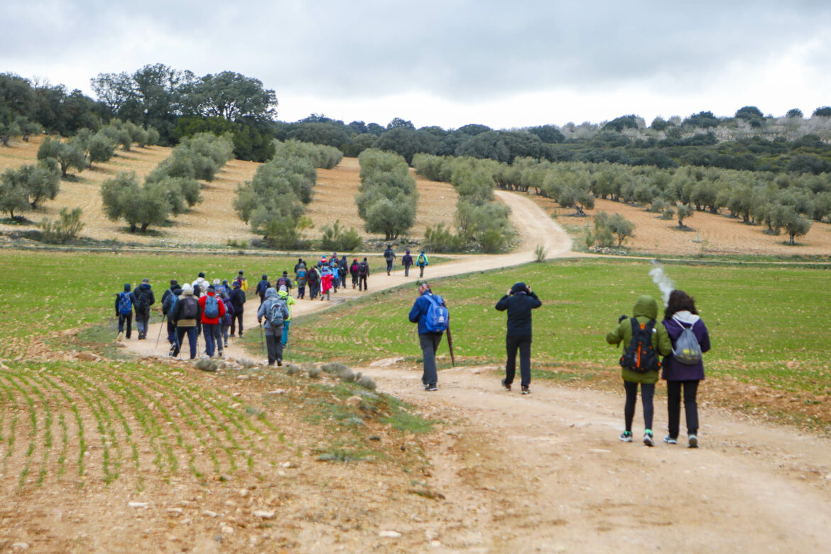 Fin de semana completo con las dos nuevas Rutas de Senderismo de la Diputación, en Munera y Chinchilla