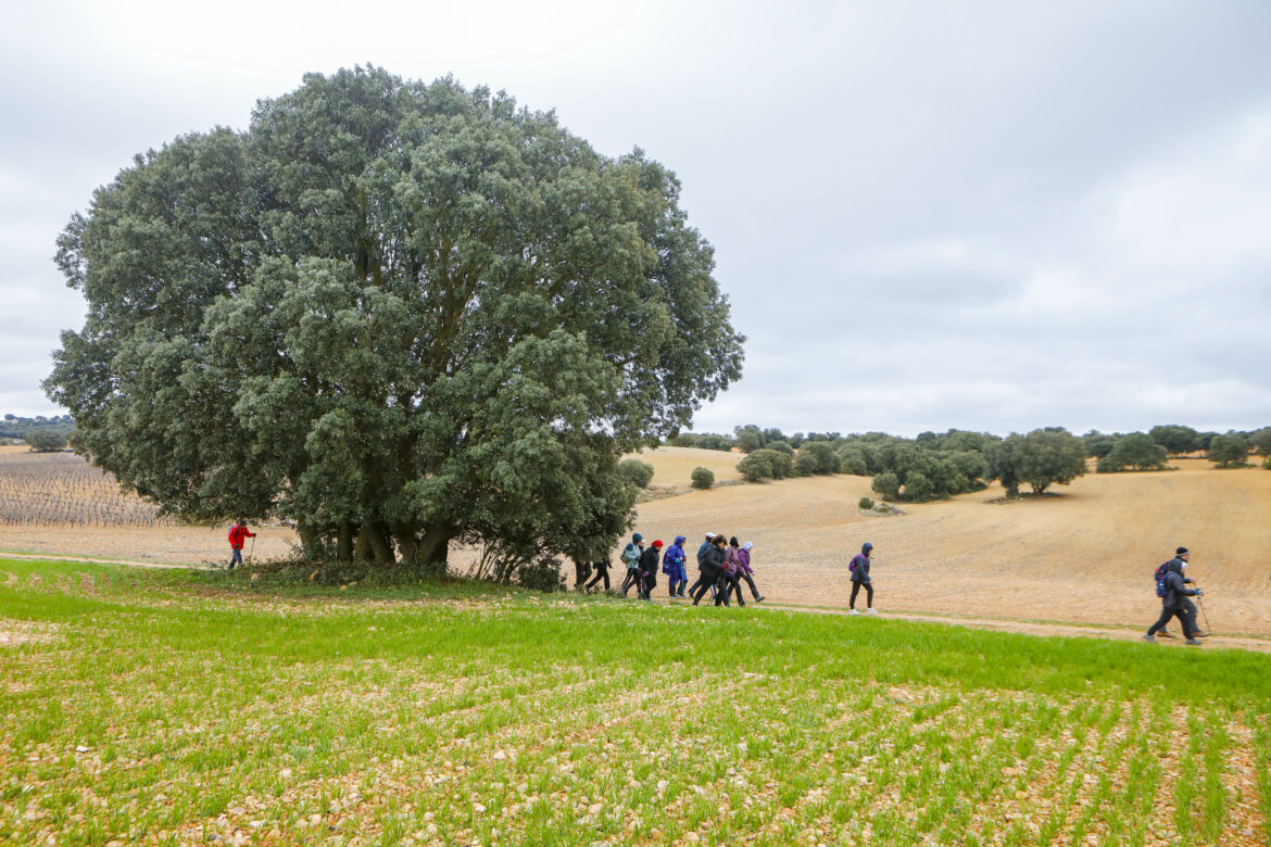 Fin de semana completo con las dos nuevas Rutas de Senderismo de la Diputación, en Munera y Chinchilla