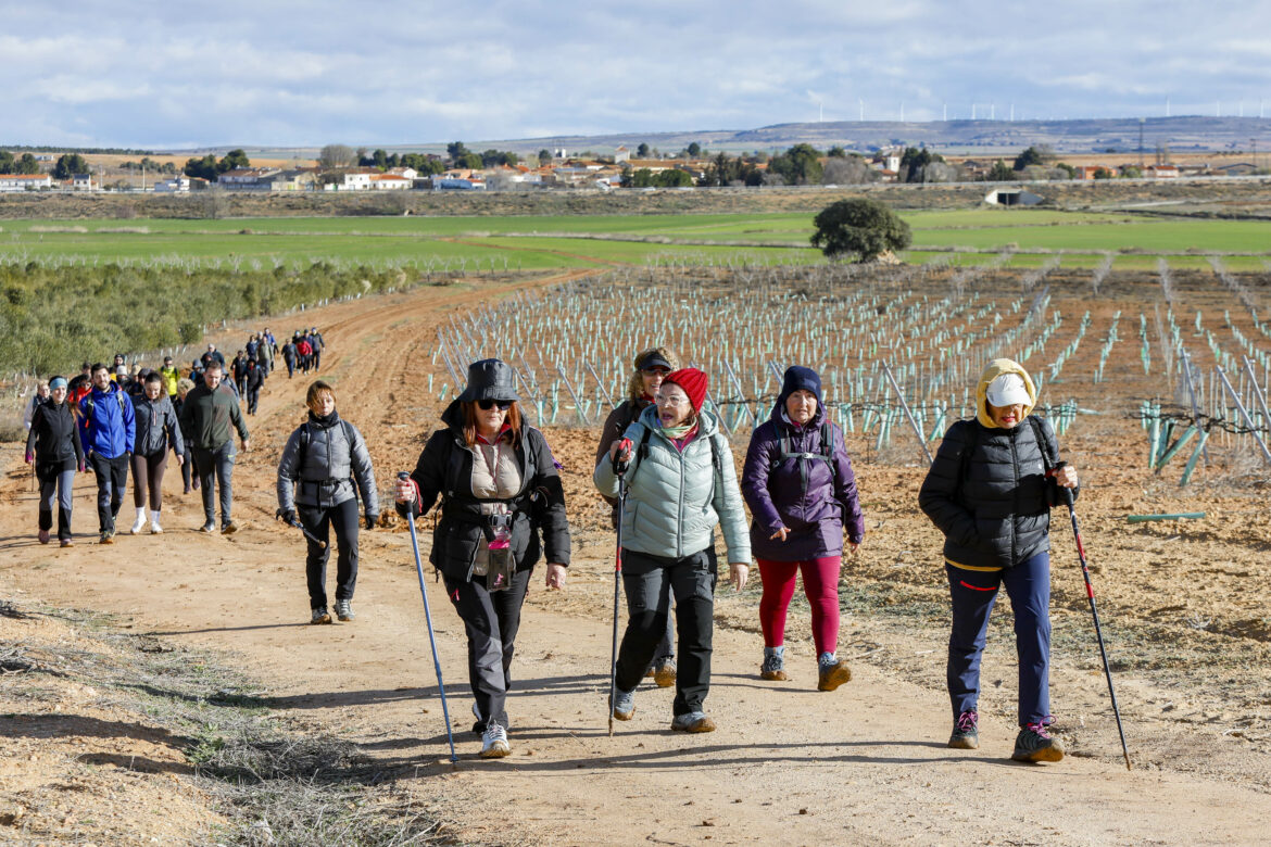 Fin de semana completo con las dos nuevas Rutas de Senderismo de la Diputación, en Munera y Chinchilla Fin de semana completo con las dos nuevas Rutas de Senderismo de la Diputación, en Munera y Chinchilla