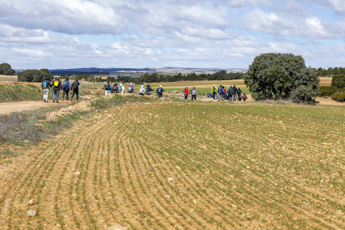 Fin de semana completo con las dos nuevas Rutas de Senderismo de la Diputación, en Munera y Chinchilla