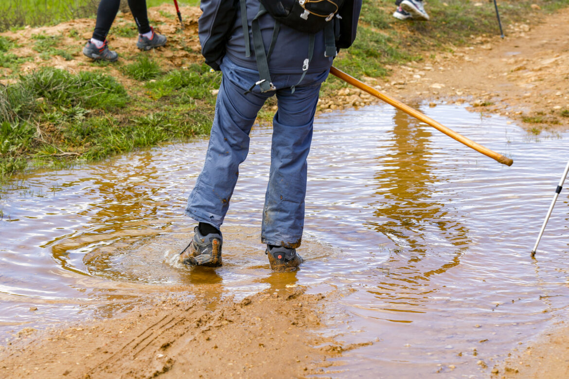 Fin de semana completo con las dos nuevas Rutas de Senderismo de la Diputación, en Munera y Chinchilla