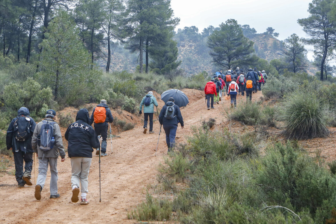 El agua fue protagonista en las dos nuevas Rutas de Senderismo de la Diputación, en Villamalea y Ossa de Montiel