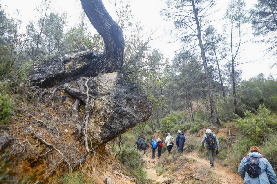 El agua fue protagonista en las dos nuevas Rutas de Senderismo de la Diputación, en Villamalea y Ossa de Montiel