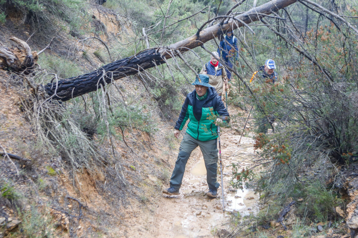 El agua fue protagonista en las dos nuevas Rutas de Senderismo de la Diputación, en Villamalea y Ossa de Montiel
