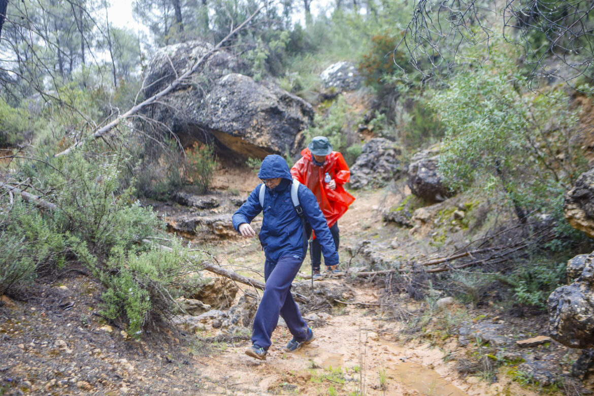 El agua fue protagonista en las dos nuevas Rutas de Senderismo de la Diputación, en Villamalea y Ossa de Montiel