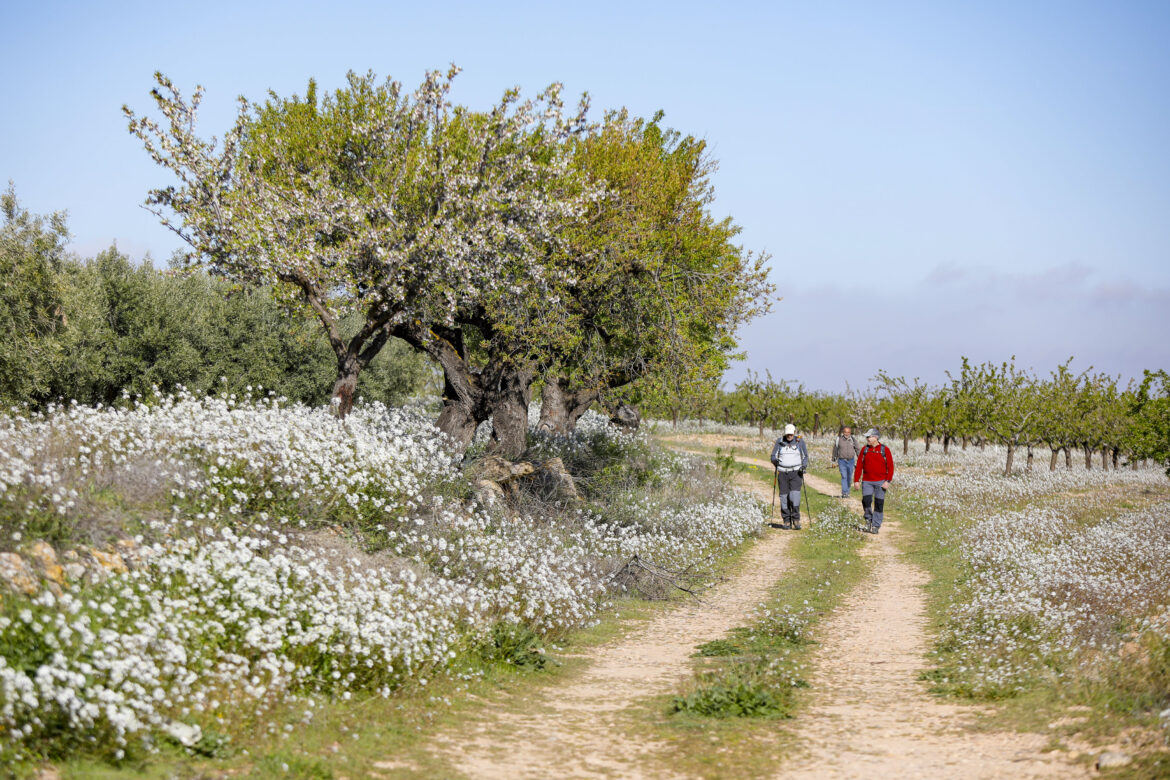 Soleado día por el Pozuelo en una nueva Ruta de Senderismo de la Diputación de Albacete