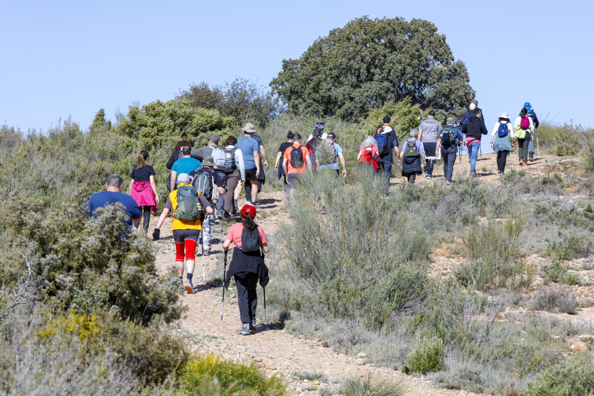 Soleado día por el Pozuelo en una nueva Ruta de Senderismo de la Diputación de Albacete