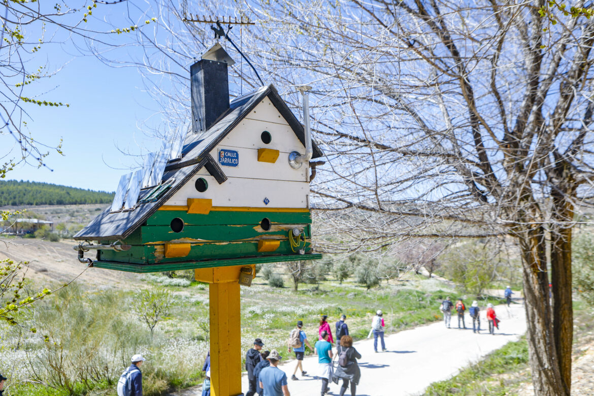 Soleado día por el Pozuelo en una nueva Ruta de Senderismo de la Diputación de Albacete