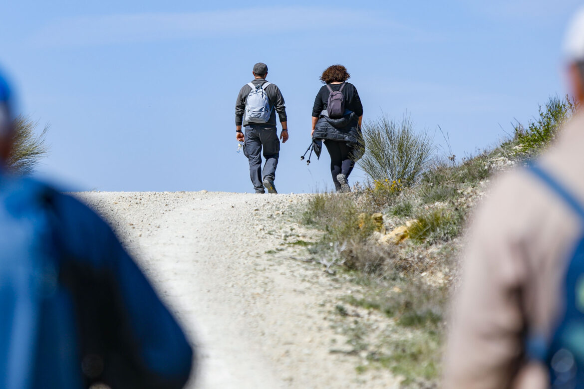 Soleado día por el Pozuelo en una nueva Ruta de Senderismo de la Diputación de Albacete