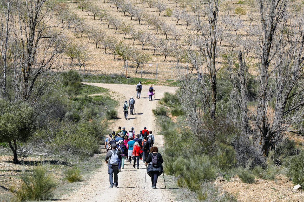 Soleado día por el Pozuelo en una nueva Ruta de Senderismo de la Diputación de Albacete