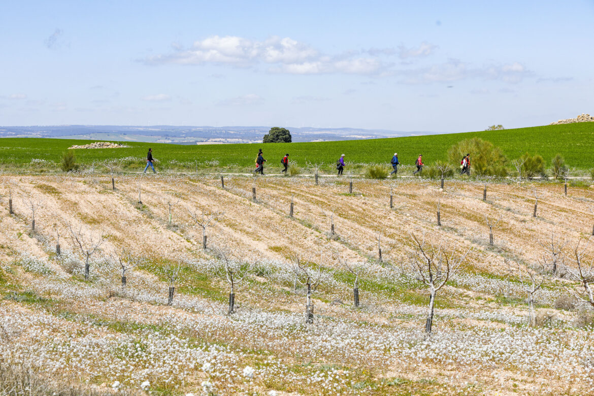Soleado día por el Pozuelo en una nueva Ruta de Senderismo de la Diputación de Albacete
