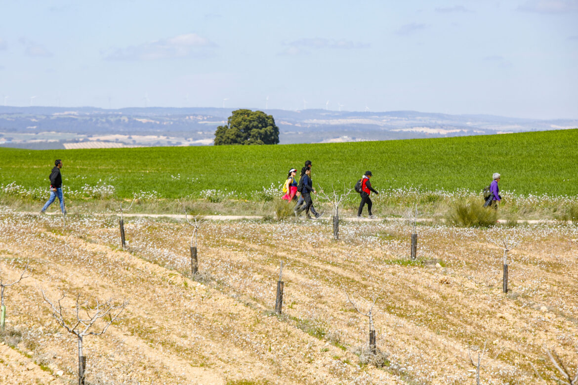 Soleado día por el Pozuelo en una nueva Ruta de Senderismo de la Diputación de Albacete