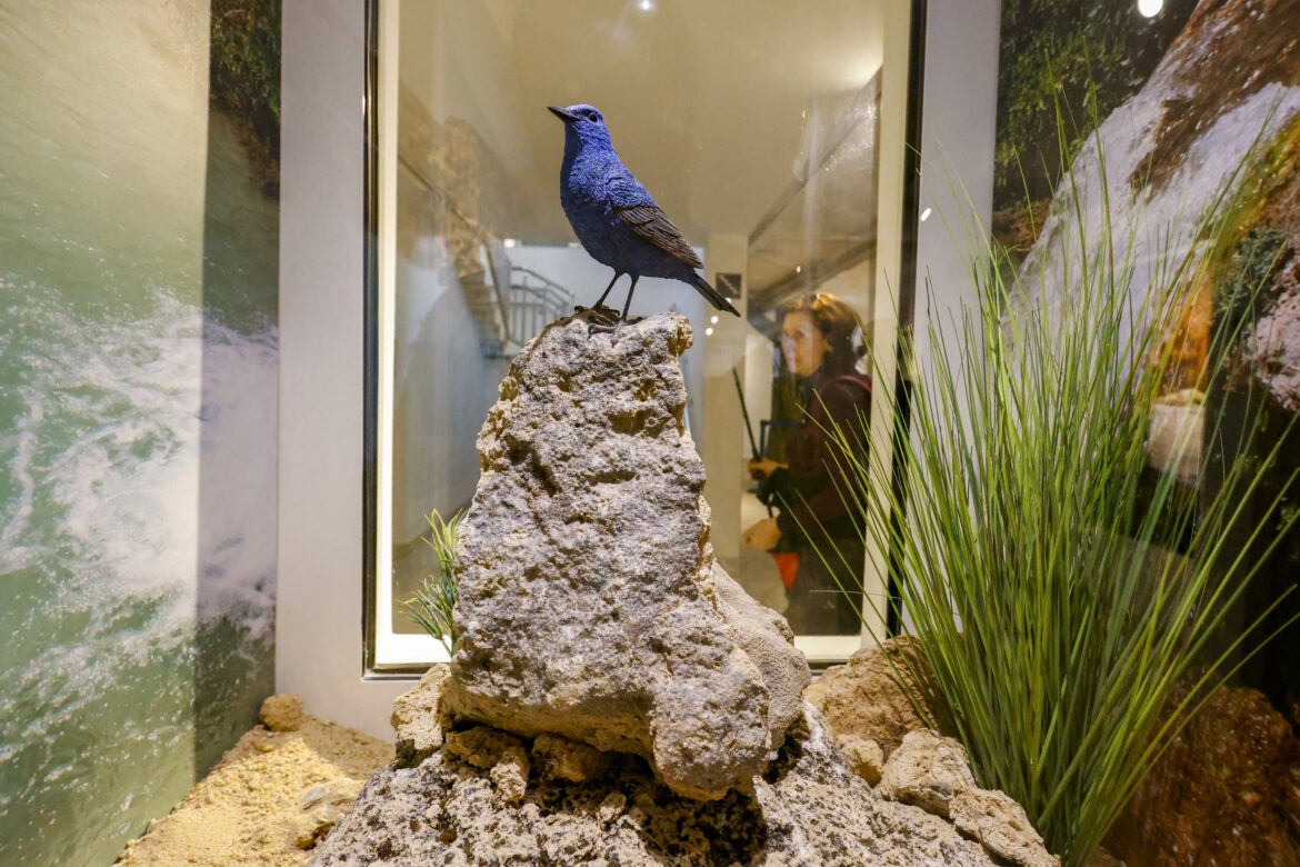 El agua fue protagonista en las dos nuevas Rutas de Senderismo de la Diputación, en Villamalea y Ossa de Montiel