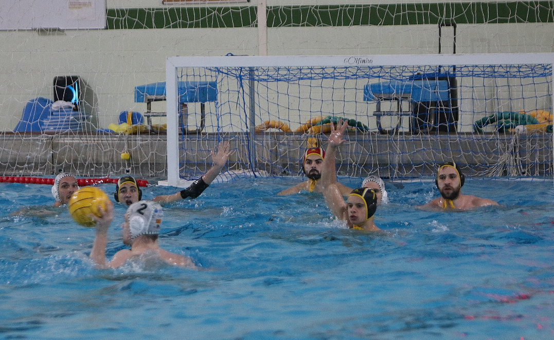 TROPIEZO DEL W. ALBACETE EN TIERRAS MAÑAS ANTE UN GRAN OLIVAR