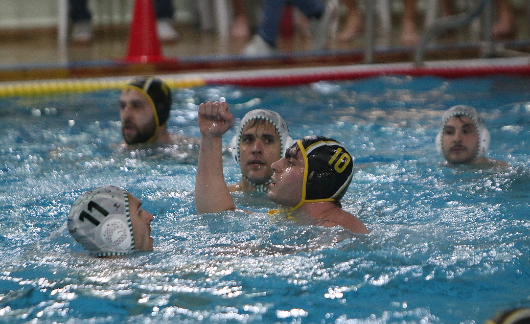 TROPIEZO DEL W. ALBACETE EN TIERRAS MAÑAS ANTE UN GRAN OLIVAR