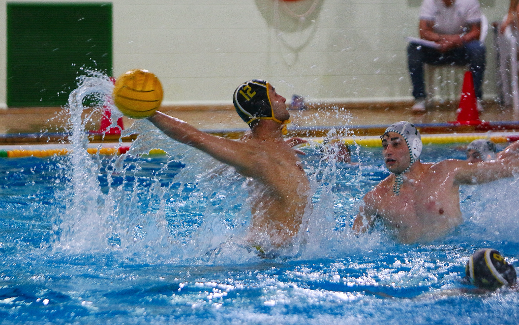 TROPIEZO DEL W. ALBACETE EN TIERRAS MAÑAS ANTE UN GRAN OLIVAR