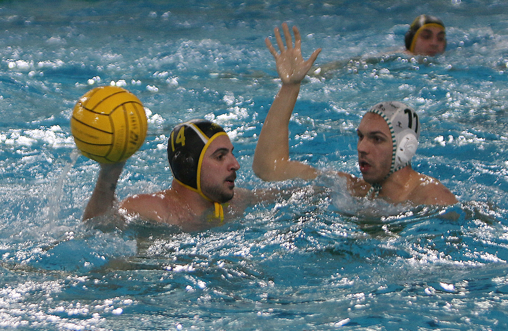 TROPIEZO DEL W. ALBACETE EN TIERRAS MAÑAS ANTE UN GRAN OLIVAR