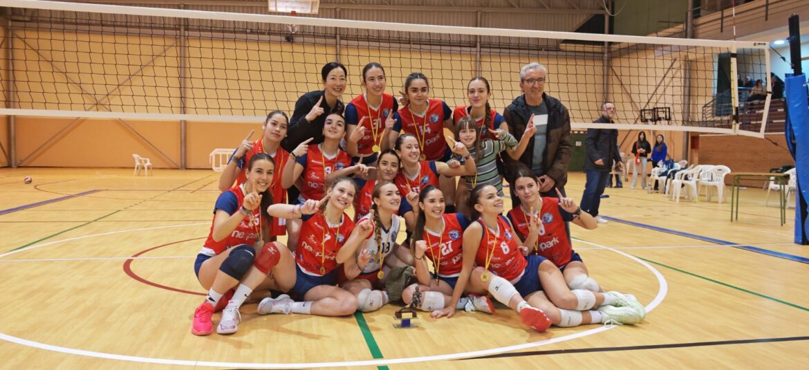 El equipo Juvenil del CLUB VOLEIBOL ALBACETE ha logrado vencer en la FINAL FOUR, consiguiendo el CAMPEONATO REGIONAL JUVENIL