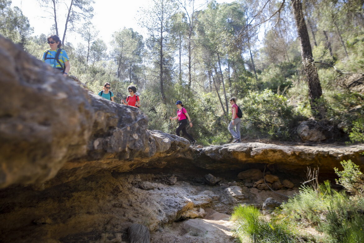 El sol primaveral, protagonista de las Rutas de Senderismo de la Diputación de Albacete, en Casas Ibáñez y Socovos