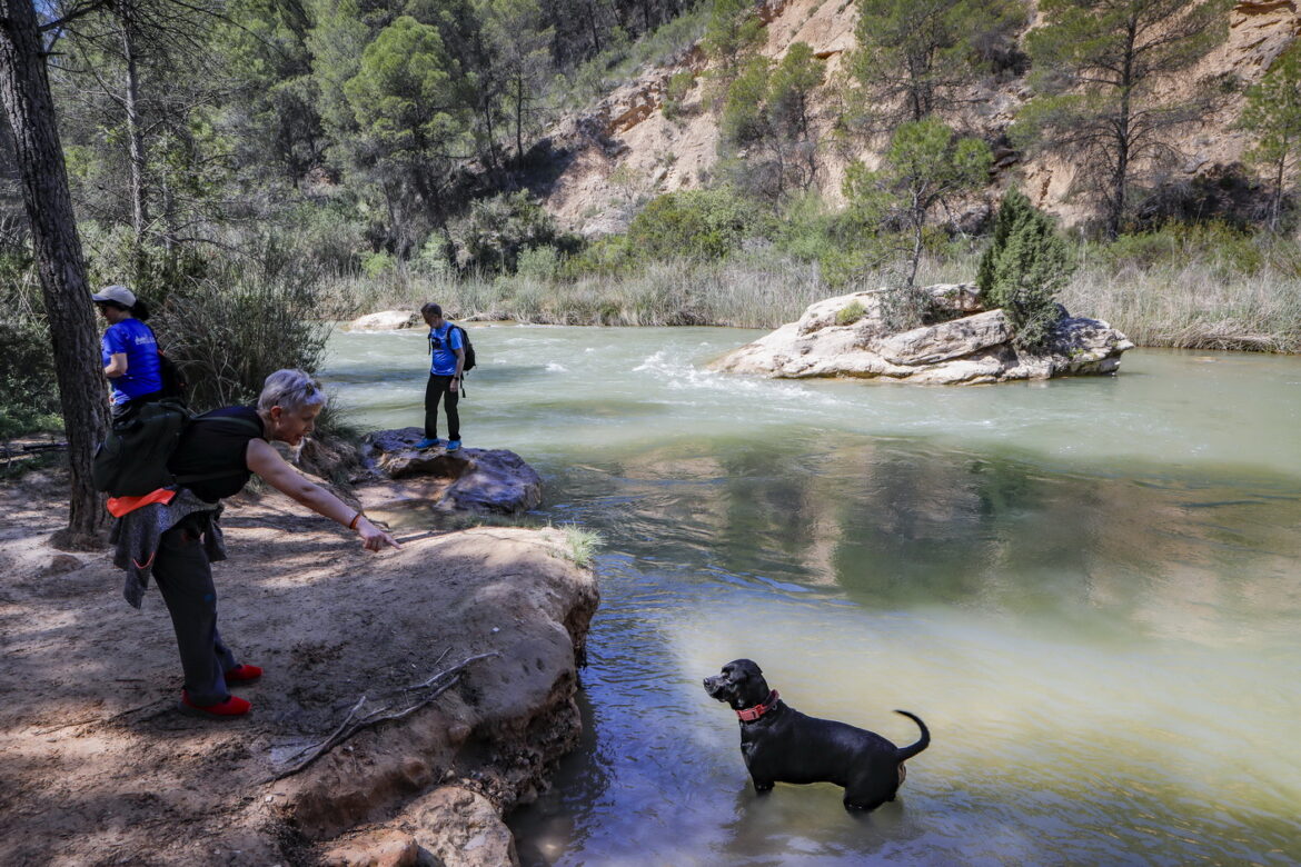 El sol primaveral, protagonista de las Rutas de Senderismo de la Diputación de Albacete, en Casas Ibáñez y Socovos