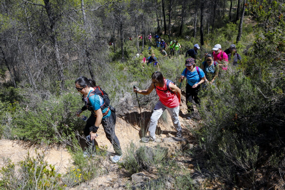 El sol primaveral, protagonista de las Rutas de Senderismo de la Diputación de Albacete, en Casas Ibáñez y Socovos