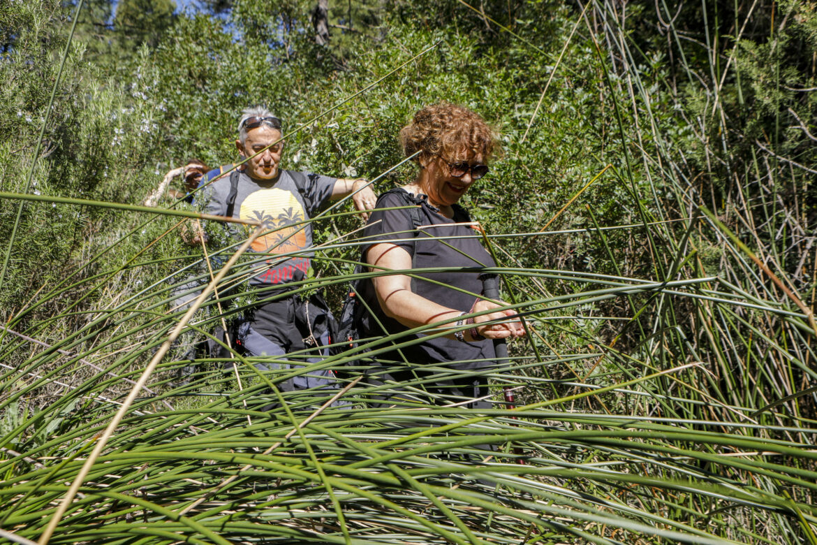 El sol primaveral, protagonista de las Rutas de Senderismo de la Diputación de Albacete, en Casas Ibáñez y Socovos