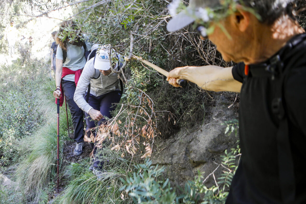 El sol primaveral, protagonista de las Rutas de Senderismo de la Diputación de Albacete, en Casas Ibáñez y Socovos
